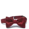 Favourbrook Burgundy Douppion Silk Bow Tie- Bow Ties