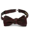 Favourbrook Burgundy Heathcote Paisley Cotton/Silk Bow Tie- Bow Ties