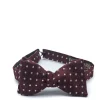 Favourbrook Burgundy Pickwick Silk Large Party Bow Tie- Bow Ties