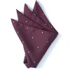 Favourbrook Burgundy Spot Silk Pocket Square- Pocket Squares