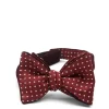 Favourbrook Burgundy Velvet with Burgundy Pickwick Contrast Large Party Bow Tie- Bow Ties