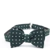 Favourbrook Green Pickwick Silk Large Party Bow Tie- Bow Ties