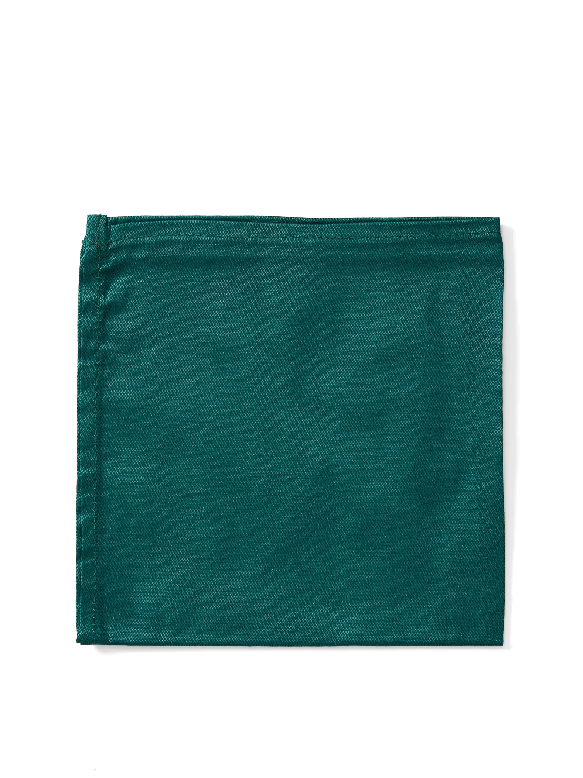 Favourbrook Green Varanasi Silk Pocket Square- Pocket Squares