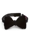 Favourbrook Navy Velvet with Burgundy Pickwick Contrast Large Party Bow Tie- Bow Ties