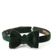 Favourbrook Racing Green Velvet Bow Tie- Bow Ties