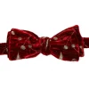 Favourbrook Red Lurex Berries Silk/Rayon Bow Tie- Bow Ties